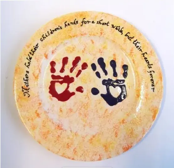 Rimmed Salad Plate 20.3cm